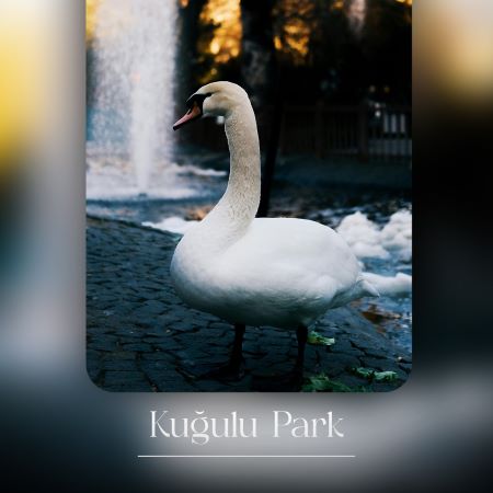 Kuğulu Park